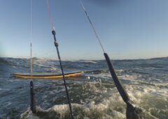 Schwimmen in der kalten Ostsee