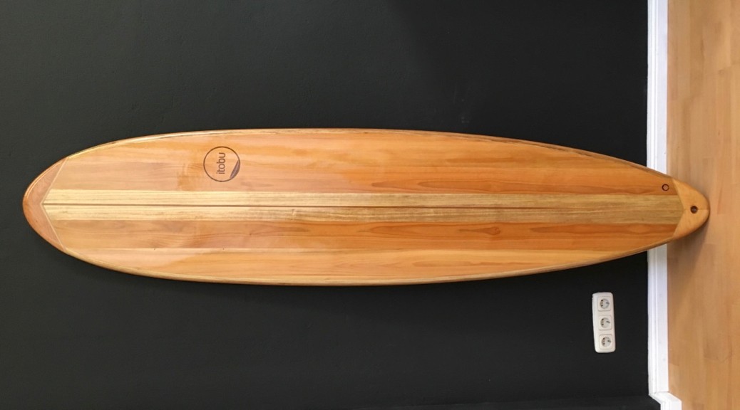 Hollow Wood Mini Malibu 7,6′