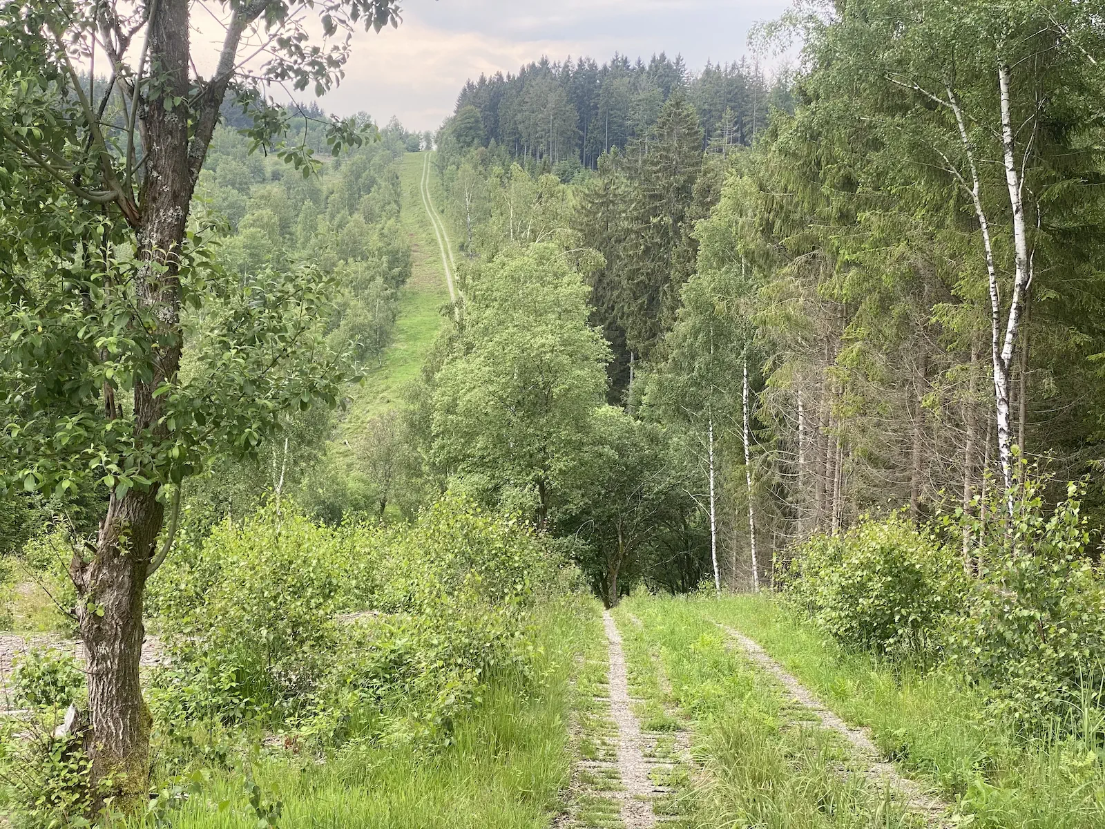 Rollercoaster-Feeeling auf dem Kolonnenweg